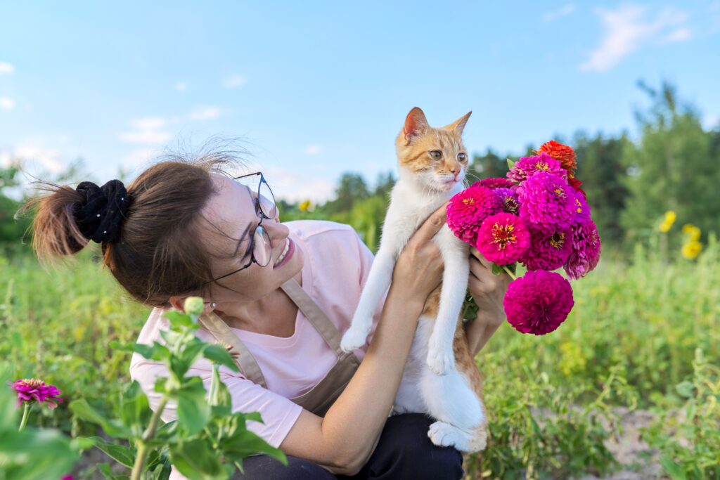 Are Roses Toxic to Cats?